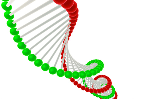 DNA2.jpg