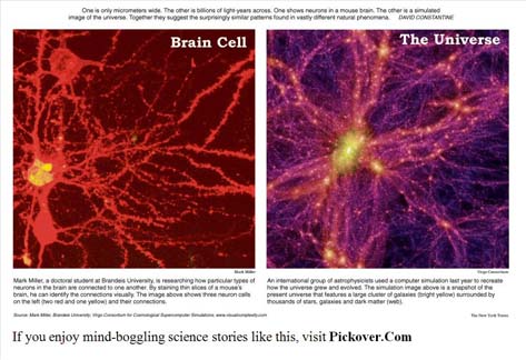 brain_cell_universe.jpg